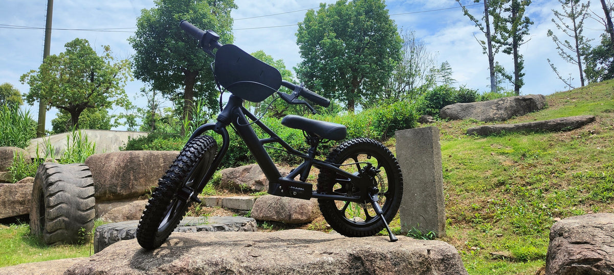 XRT Moto 16S "Mini" 350W 36V 5ah