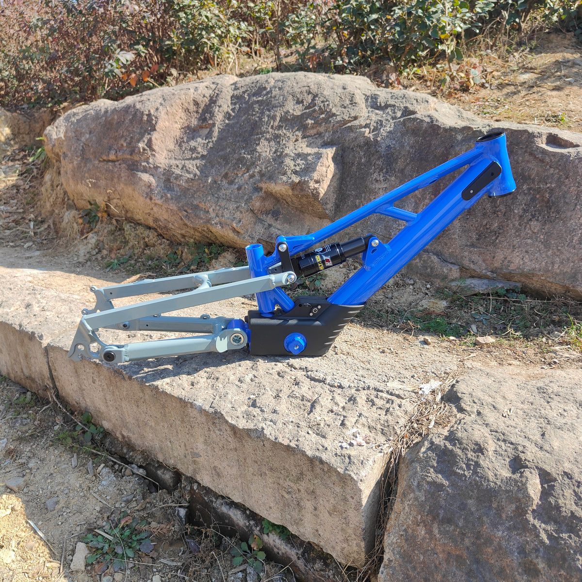 20" XRT Pro X Frame Blue