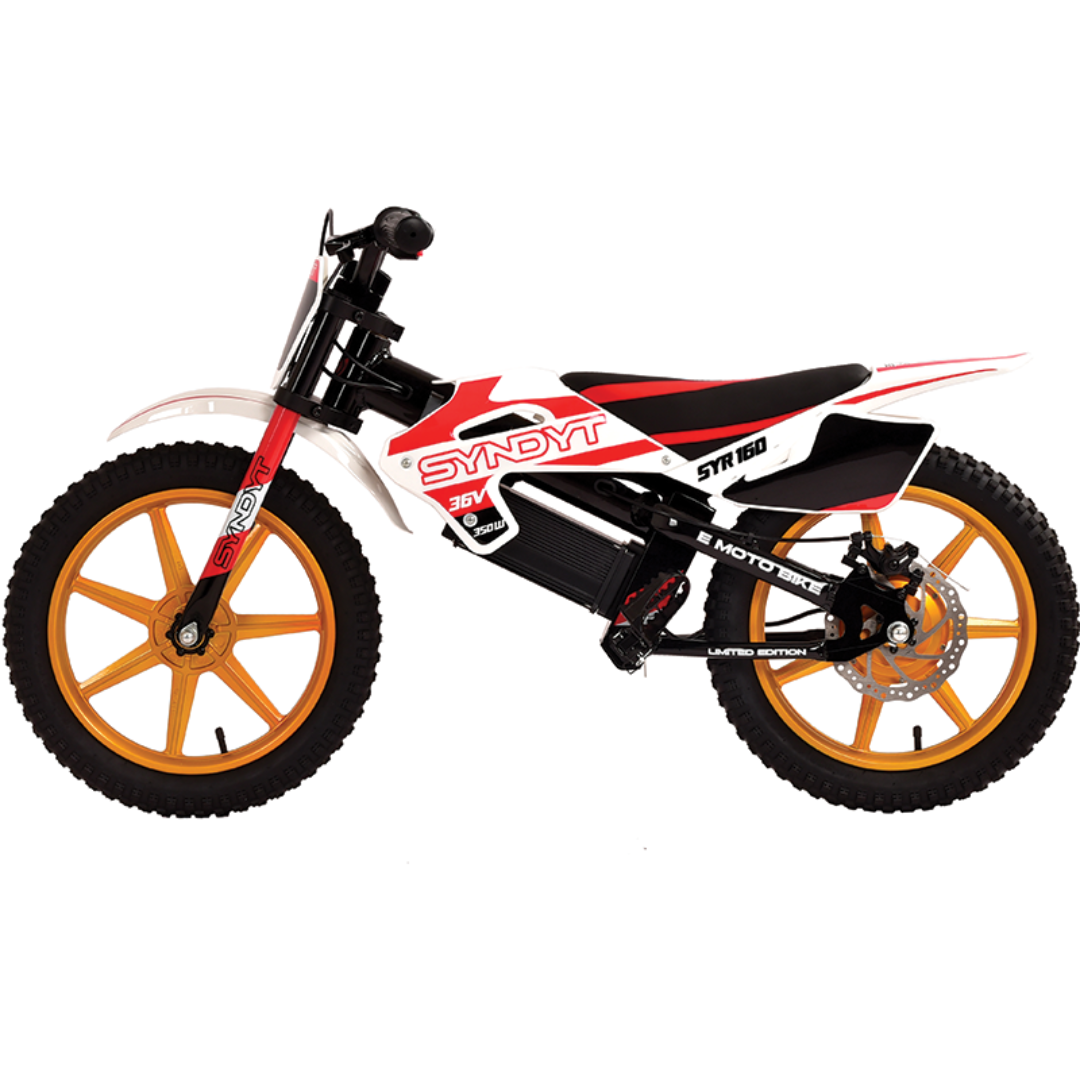 SYNDYT SYR 160 16" E Balance Bike. 36 Volts. 10 AH. 350 Watts. 5, 10, 16mph