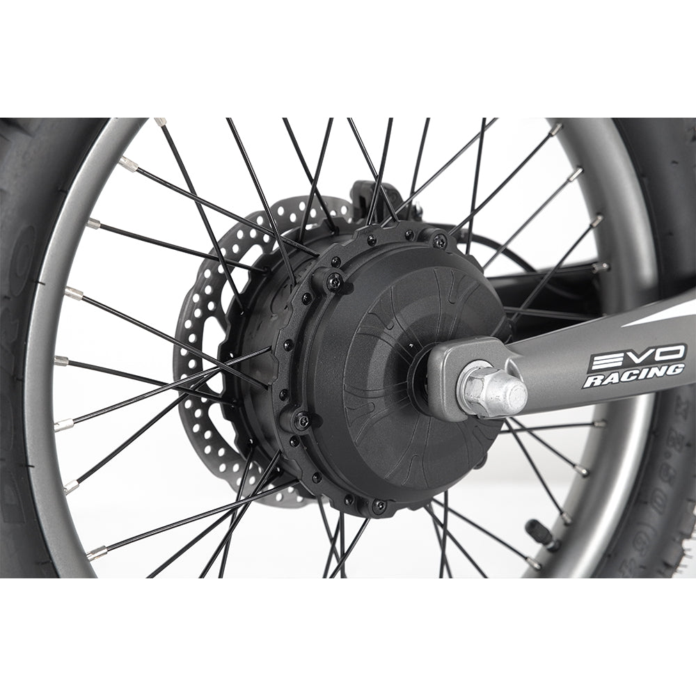 Voltaic Youth Electric Dirt Bike 16'' Flying Fox Gray take an extra 15% off