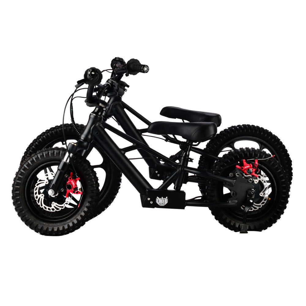 XRT Moto 16S "Mini" 350W 36V 5ah