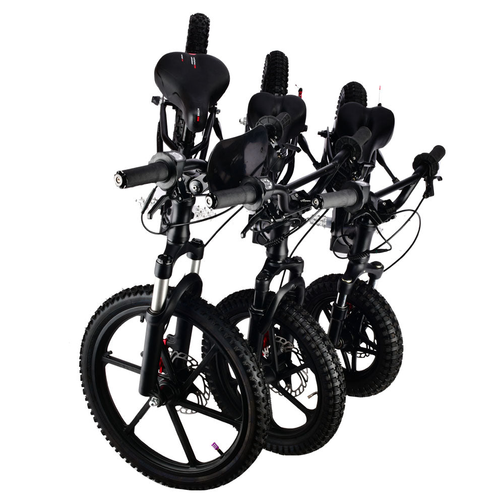 XRT Moto 16S "Mini" 350W 36V 5ah
