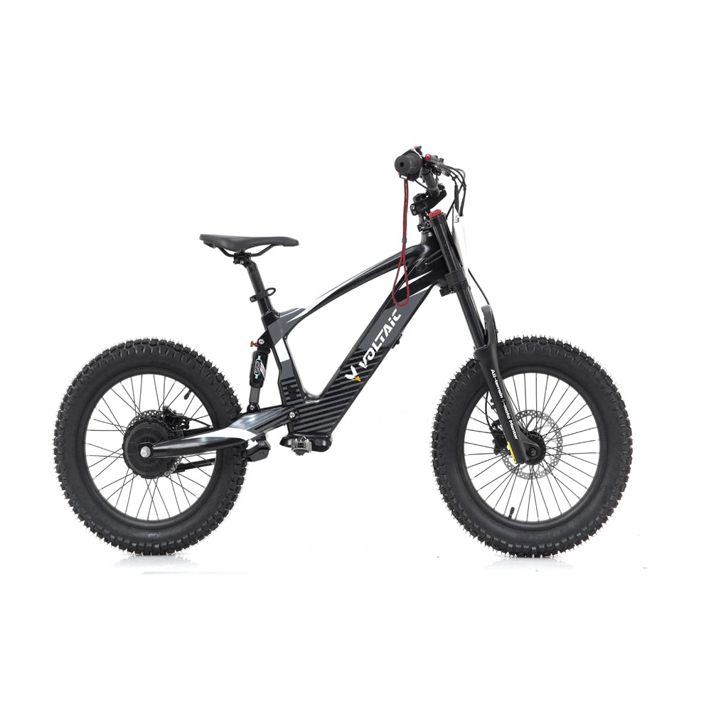 Voltaic Youth Electric Dirt Bike 20'' Flying Fox Black– Angry Phoenix