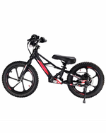 XRT Moto 16S "Mini" 350W 36V 5ah