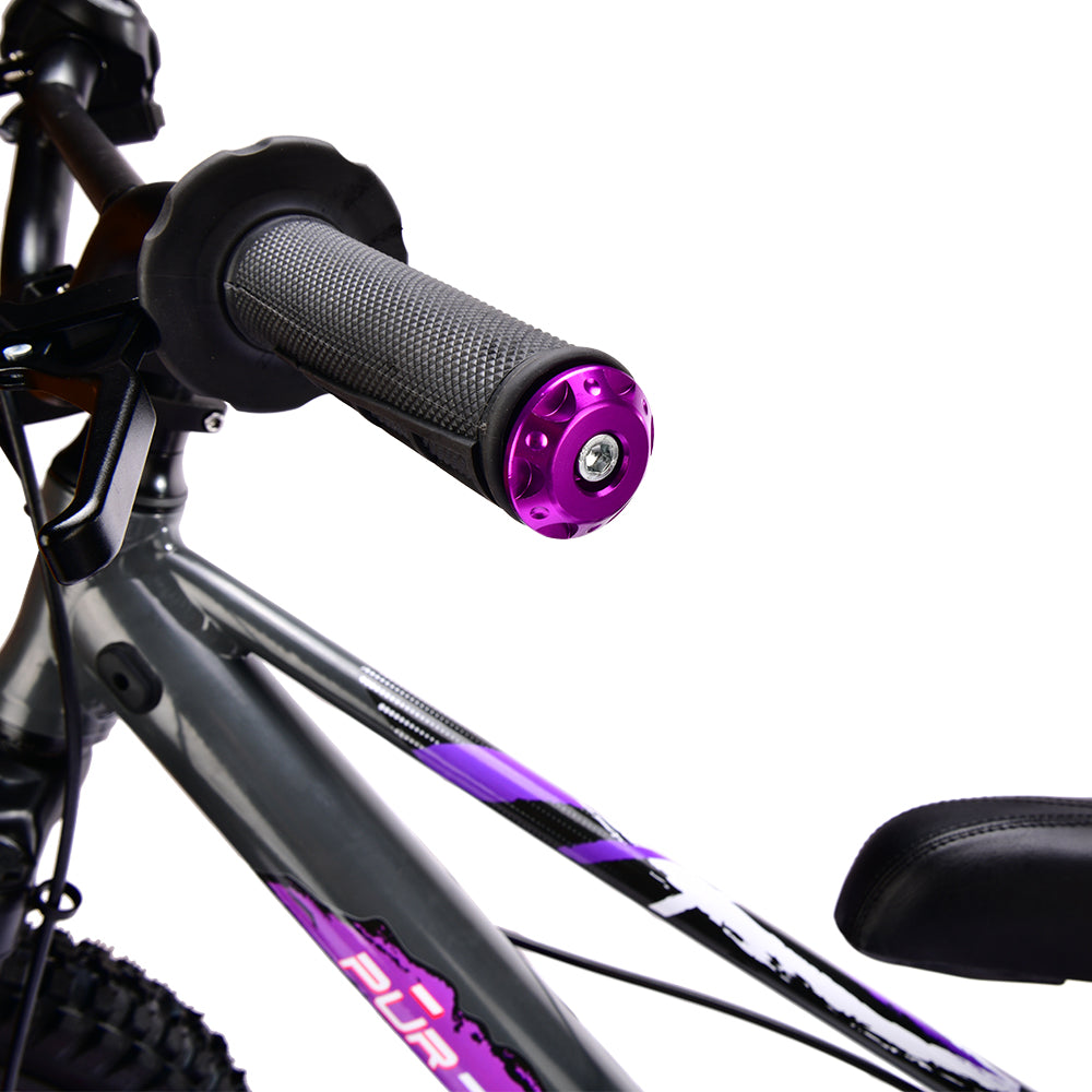 Handle Bar end-Purple