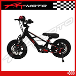 XRT Moto 12" FURY PRO 36V 350W