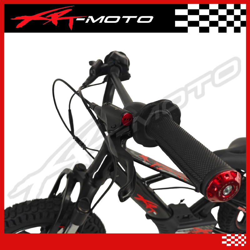 XRT Moto 12" FURY PRO 36V 350W