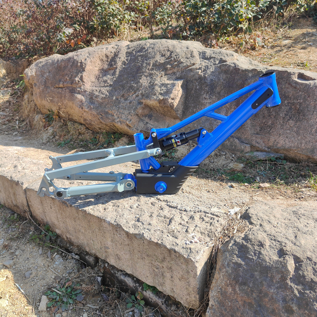 20" XRT Pro X Frame Blue