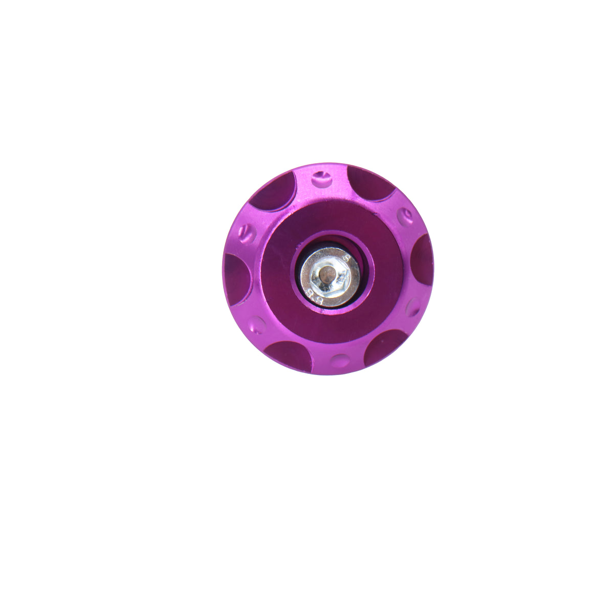 Handle Bar end-Purple