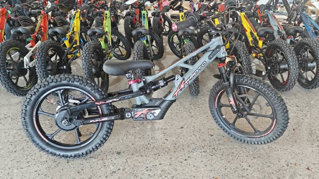 XRT Moto Pro X 16" 500W 52V