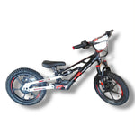 XRT VIPER PRO+ 48V 350W