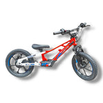 XRT VIPER PRO+ 48V 350W