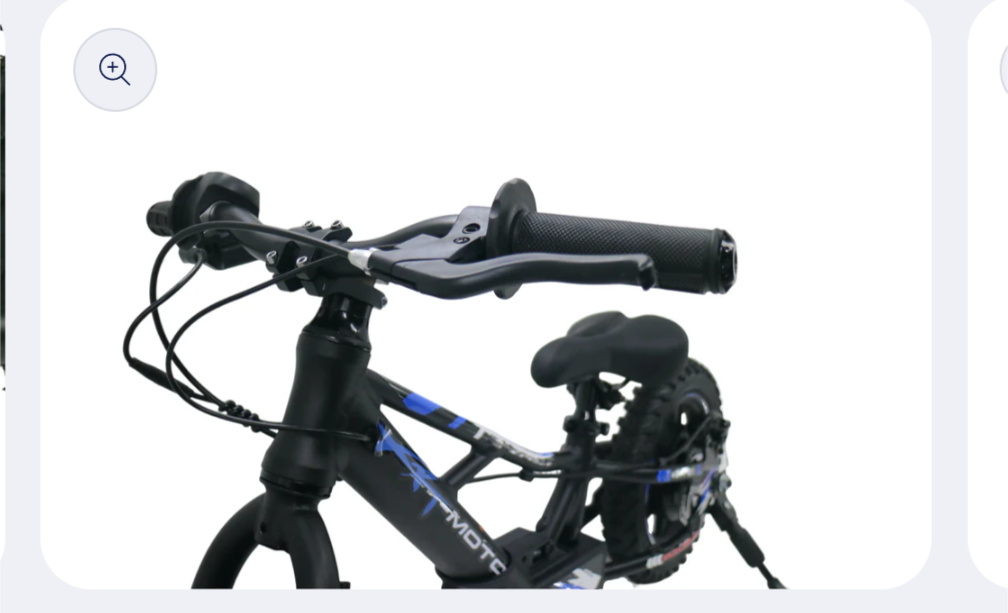 12" Xrt Moto Fury 24volt 250watt