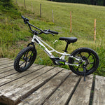 XRT_Moto_Kids_electric_balance_bike_24V_Viper_ECO
