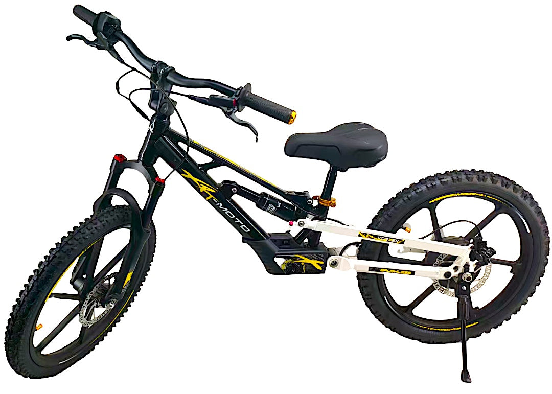 20in Kids Electric bikes MTB full suspension– Angry Phoenix