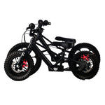 XRT Moto 16S "Mini" 350W 36V 5ah