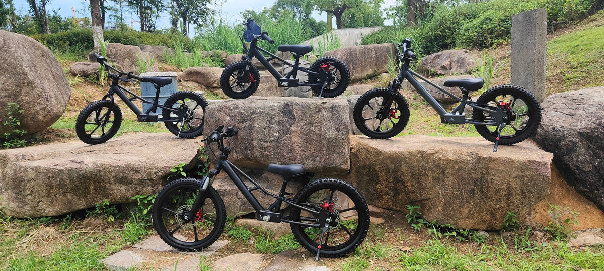XRT Moto 16S "Mini" 350W 36V 5ah