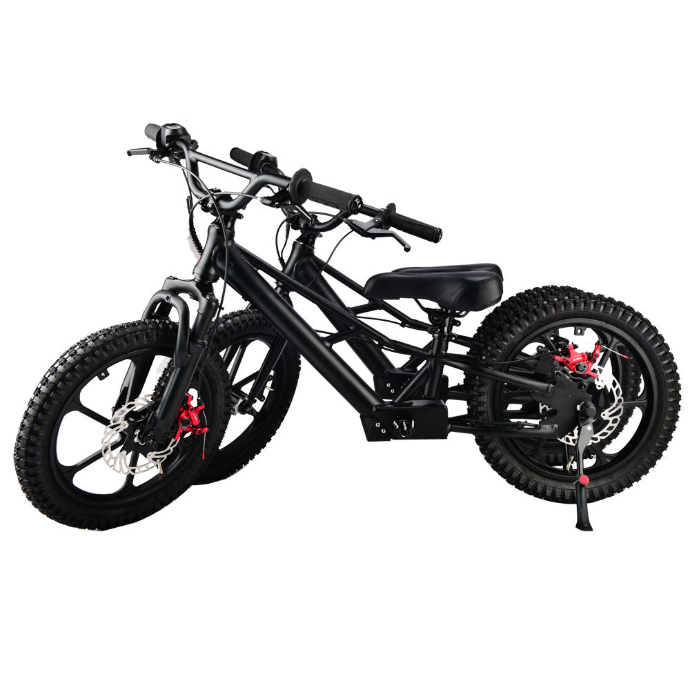 XRT Moto 16S "Mini" 350W 36V 5ah