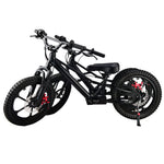 XRT Moto 16S "Mini" 350W 36V 5ah